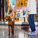 Guia Retrátil 5 Metros para Cães e Gatos – Passeios Seguros