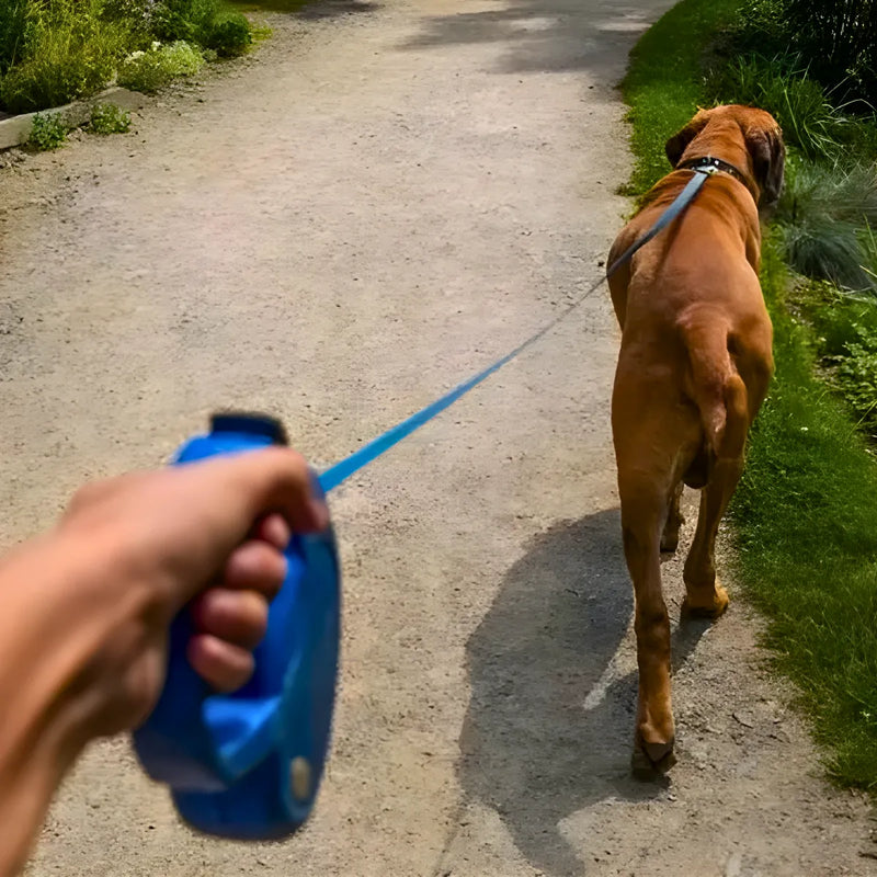 Guia Retrátil 5 Metros para Cães e Gatos – Passeios Seguros