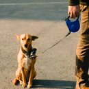 Guia Retrátil 5 Metros para Cães e Gatos – Passeios Seguros