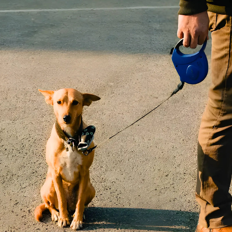 Guia Retrátil 5 Metros para Cães e Gatos – Passeios Seguros