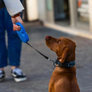 Guia Retrátil 5 Metros para Cães e Gatos – Passeios Seguros