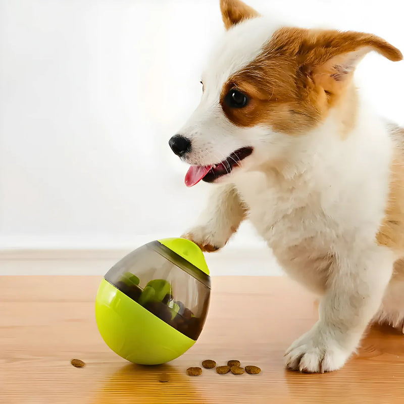 Brinquedo Interativo Para Cães com Dispenser para Petisco